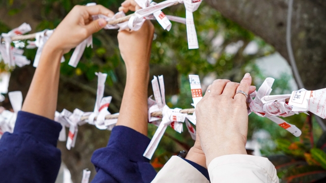 おみくじを結ぶ