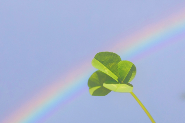 幸運のクローバー