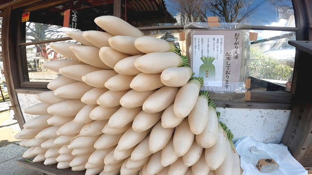 浅草　待乳山聖天　大根
