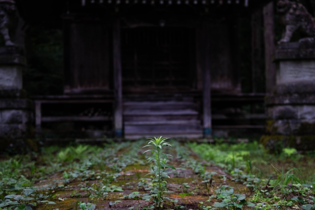 廃神社　3