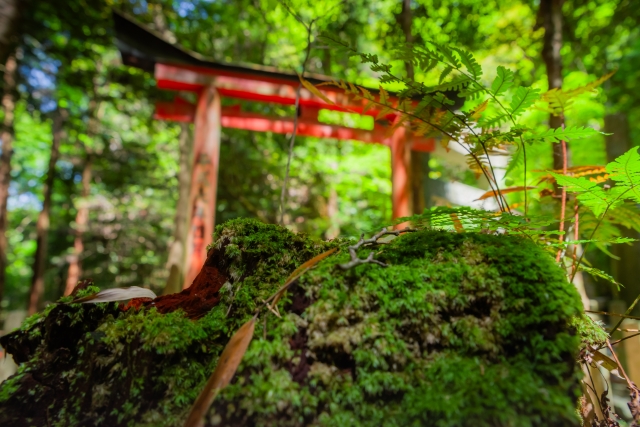廃神社　2