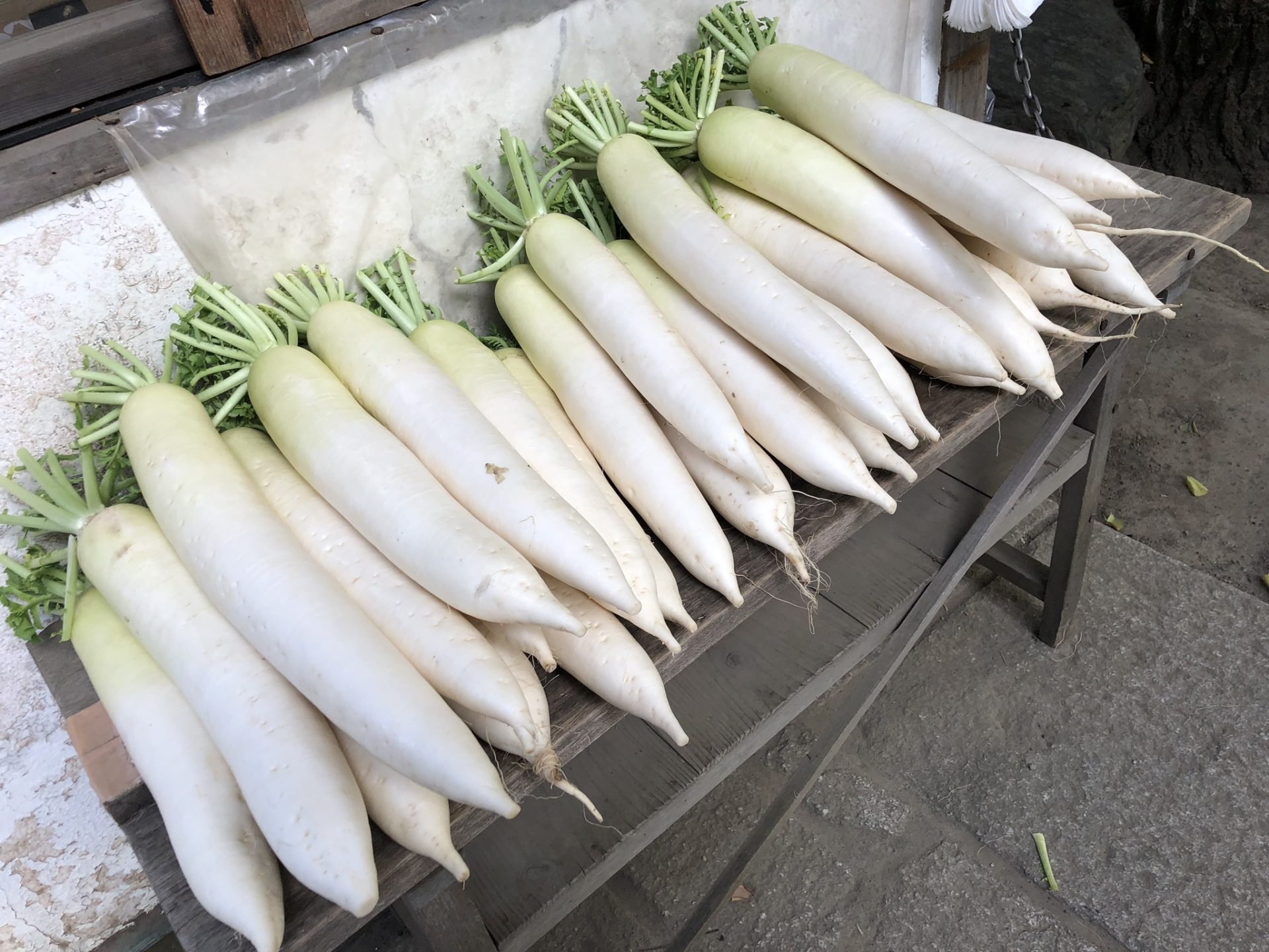 神社　大根